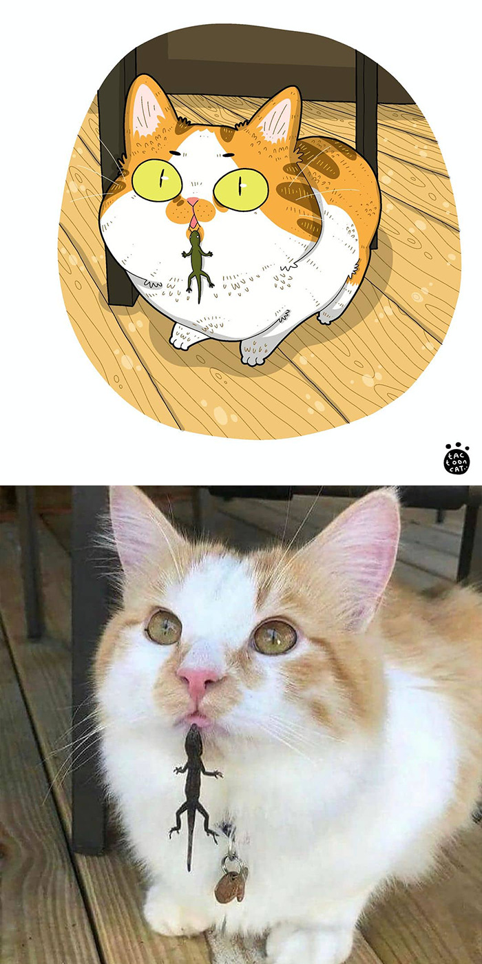 30 Of The Funniest Internet-Famous Cat Pics Get Illustrated By Tactooncat