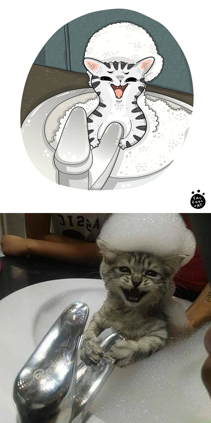 30 Of The Funniest Internet-Famous Cat Pics Get Illustrated By Tactooncat