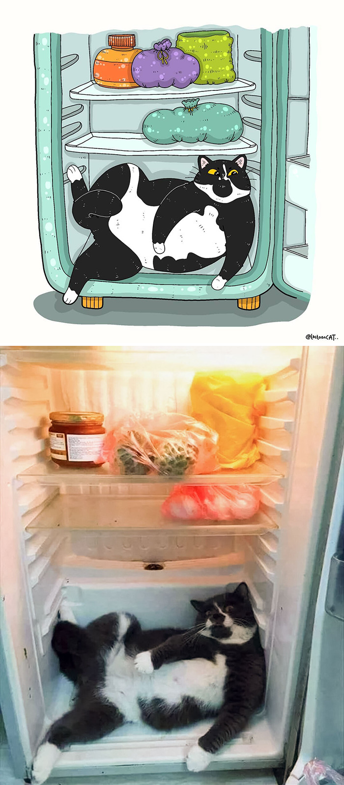 30 Of The Funniest Internet-Famous Cat Pics Get Illustrated By Tactooncat
