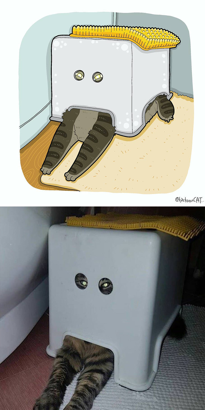 30 Of The Funniest Internet-Famous Cat Pics Get Illustrated By Tactooncat