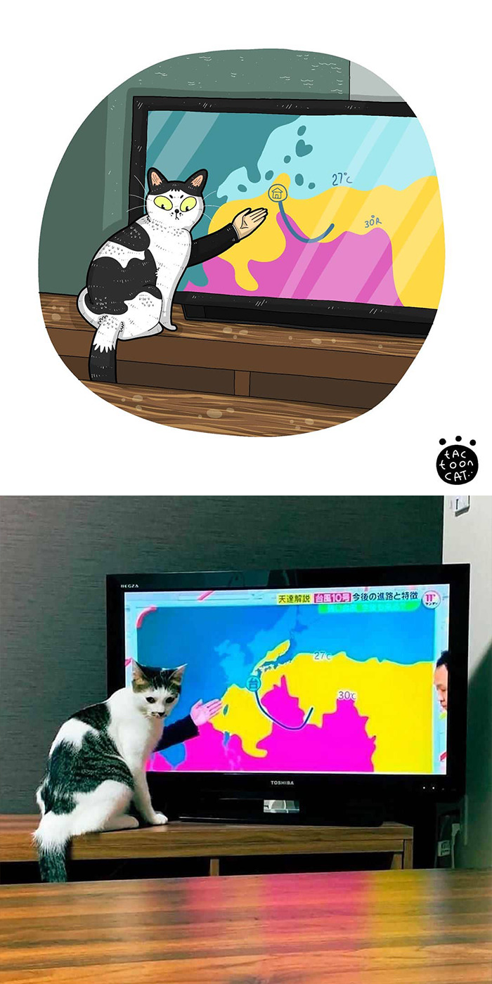 30 Of The Funniest Internet-Famous Cat Pics Get Illustrated By Tactooncat