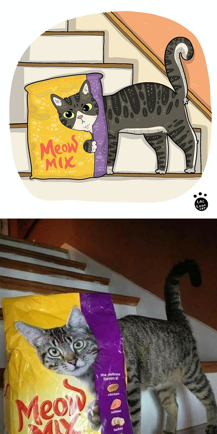 30 Of The Funniest Internet-Famous Cat Pics Get Illustrated By Tactooncat
