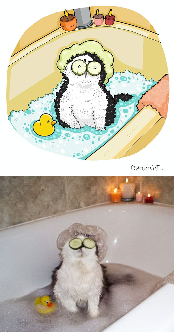 30 Of The Funniest Internet-Famous Cat Pics Get Illustrated By Tactooncat