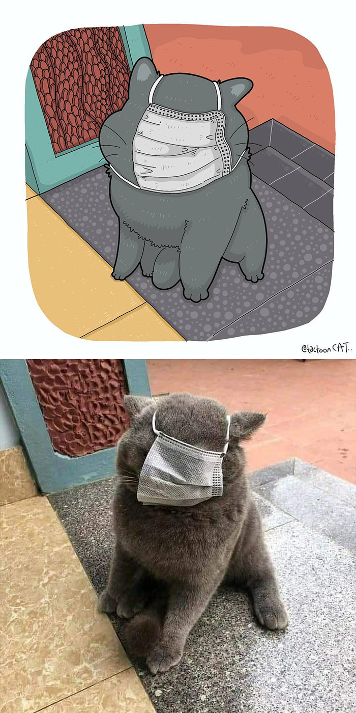 30 Of The Funniest Internet-Famous Cat Pics Get Illustrated By Tactooncat