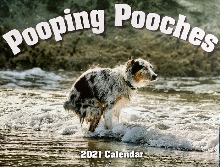 2021 Pooping Dogs Calendar Is Finally Here, And This Year Contains A Puzzle