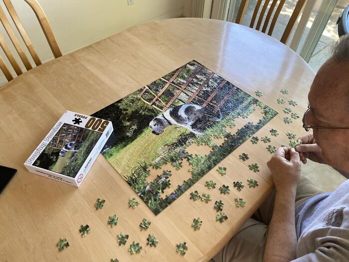 2021 Pooping Dogs Calendar Is Finally Here, And This Year Contains A Puzzle