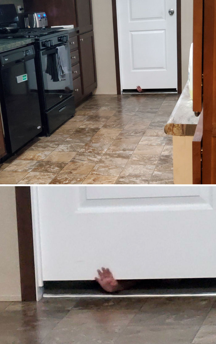 50 Funny Examples Of &#8220;Kid Logic&#8221; That Make No Sense To Adults