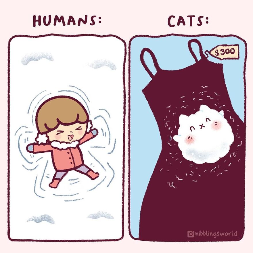 I Make Wholesome Comics About Our Pets That Are Heavily Inspired By The Antics Of The Stray Cats That We Have Adopted (60 Pics)