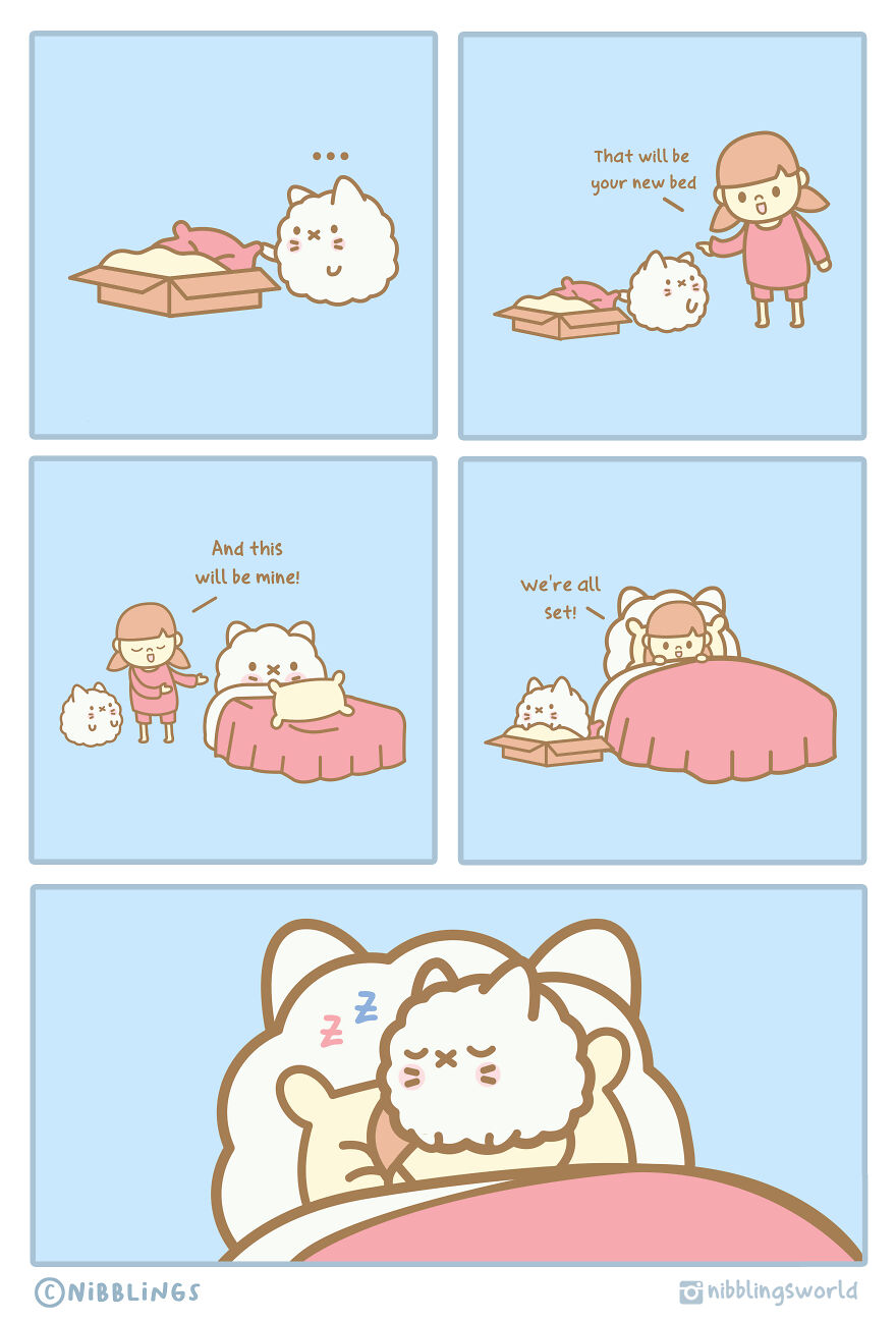 I Make Wholesome Comics About Our Pets That Are Heavily Inspired By The Antics Of The Stray Cats That We Have Adopted (60 Pics)