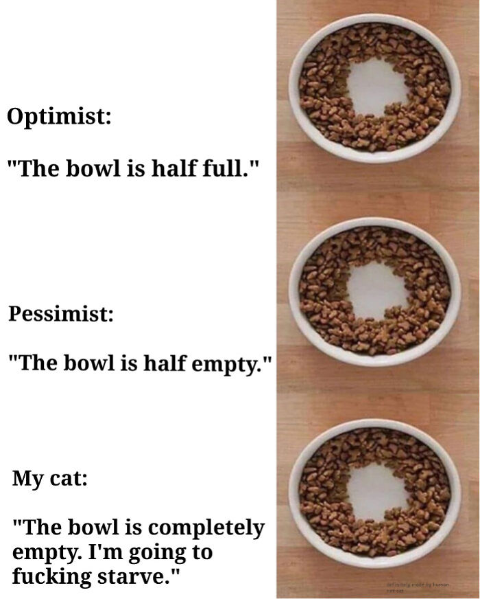 50 Funny Cat Jokes Created By People Clearly Living With One