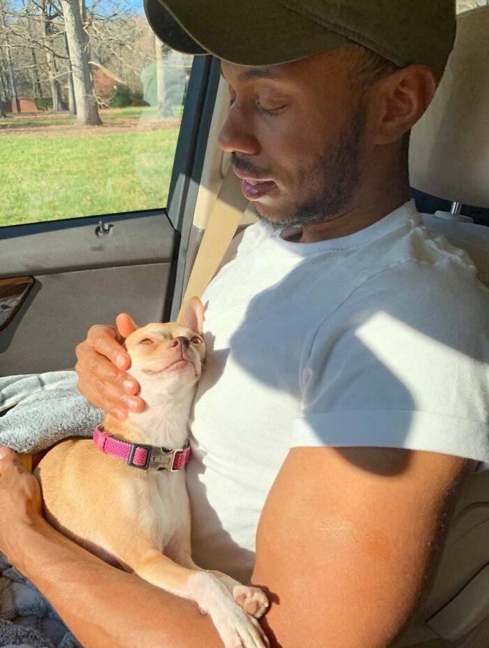 &#8220;I Don&#8217;t Like Small Dogs&#8221; Guy Is Won Over By A Sneaky Chihuahua Which He Now Tucks In To Sleep Every Night