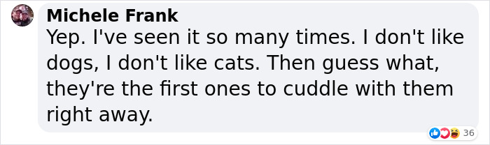 &#8220;I Don&#8217;t Like Small Dogs&#8221; Guy Is Won Over By A Sneaky Chihuahua Which He Now Tucks In To Sleep Every Night