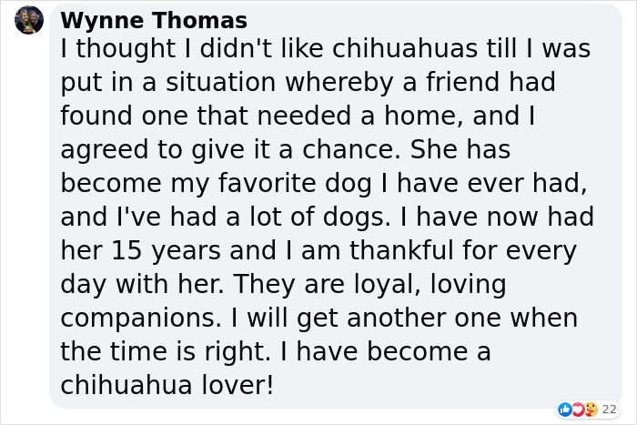 &#8220;I Don&#8217;t Like Small Dogs&#8221; Guy Is Won Over By A Sneaky Chihuahua Which He Now Tucks In To Sleep Every Night