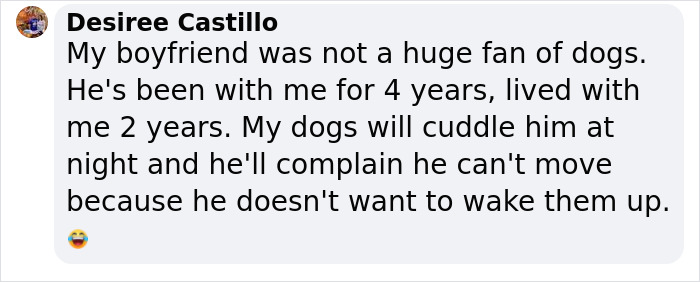 &#8220;I Don&#8217;t Like Small Dogs&#8221; Guy Is Won Over By A Sneaky Chihuahua Which He Now Tucks In To Sleep Every Night