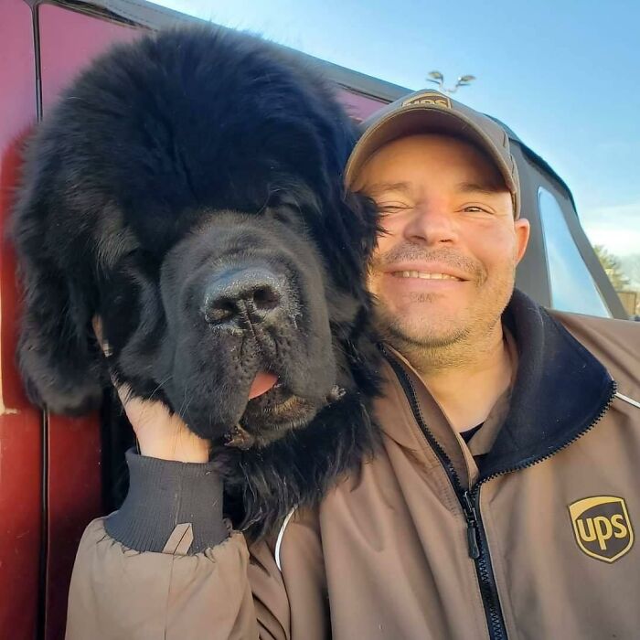 35 Times UPS Drivers Were Lucky To Meet Dogs On Their Routes And Shared The Pics On This Group (New Pics)