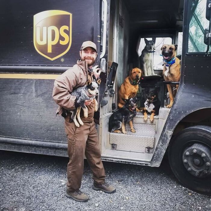 35 Times UPS Drivers Were Lucky To Meet Dogs On Their Routes And Shared The Pics On This Group (New Pics)