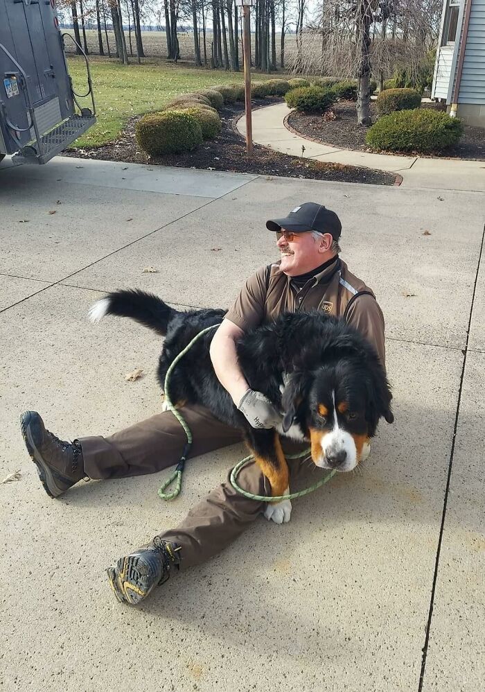 35 Times UPS Drivers Were Lucky To Meet Dogs On Their Routes And Shared The Pics On This Group (New Pics)