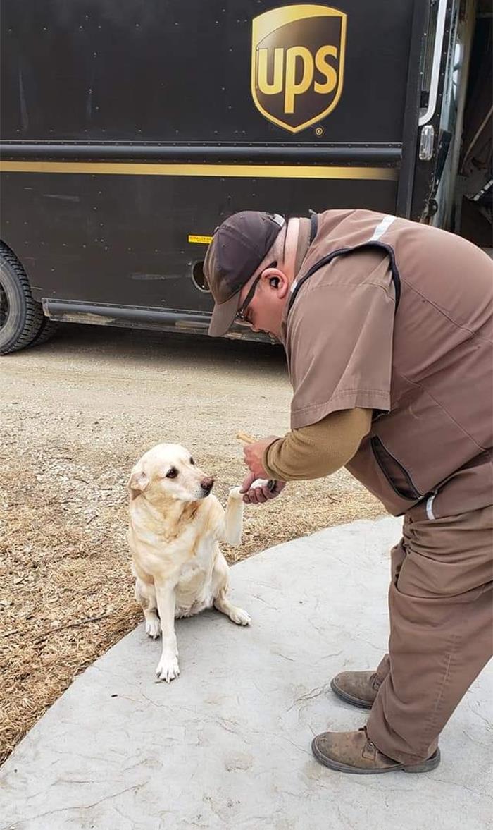 35 Times UPS Drivers Were Lucky To Meet Dogs On Their Routes And Shared The Pics On This Group (New Pics)