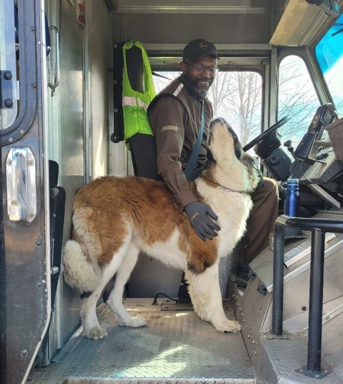 35 Times UPS Drivers Were Lucky To Meet Dogs On Their Routes And Shared The Pics On This Group (New Pics)