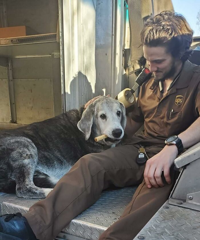 35 Times UPS Drivers Were Lucky To Meet Dogs On Their Routes And Shared The Pics On This Group (New Pics)