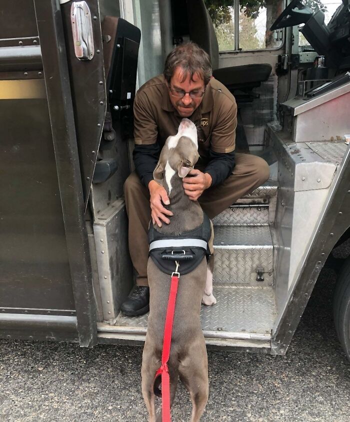 35 Times UPS Drivers Were Lucky To Meet Dogs On Their Routes And Shared The Pics On This Group (New Pics)