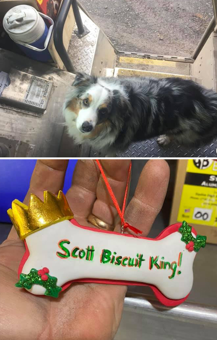 35 Times UPS Drivers Were Lucky To Meet Dogs On Their Routes And Shared The Pics On This Group (New Pics)