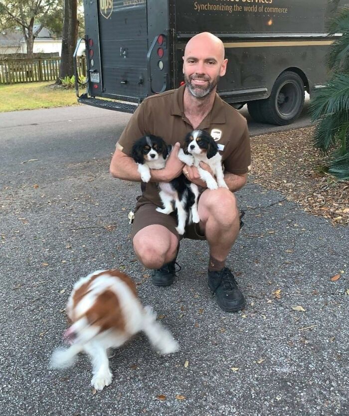 35 Times UPS Drivers Were Lucky To Meet Dogs On Their Routes And Shared The Pics On This Group (New Pics)