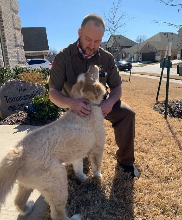 35 Times UPS Drivers Were Lucky To Meet Dogs On Their Routes And Shared The Pics On This Group (New Pics)