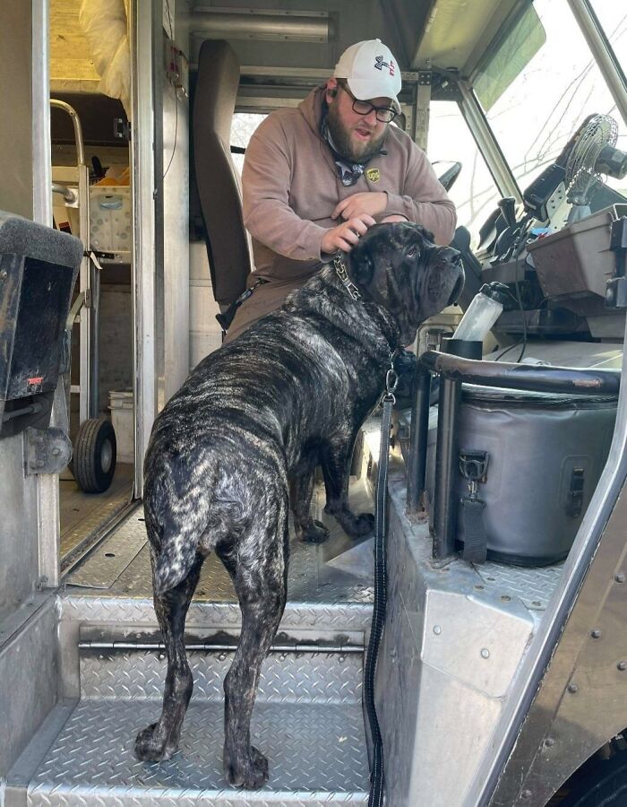 35 Times UPS Drivers Were Lucky To Meet Dogs On Their Routes And Shared The Pics On This Group (New Pics)