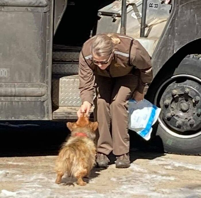 35 Times UPS Drivers Were Lucky To Meet Dogs On Their Routes And Shared The Pics On This Group (New Pics)