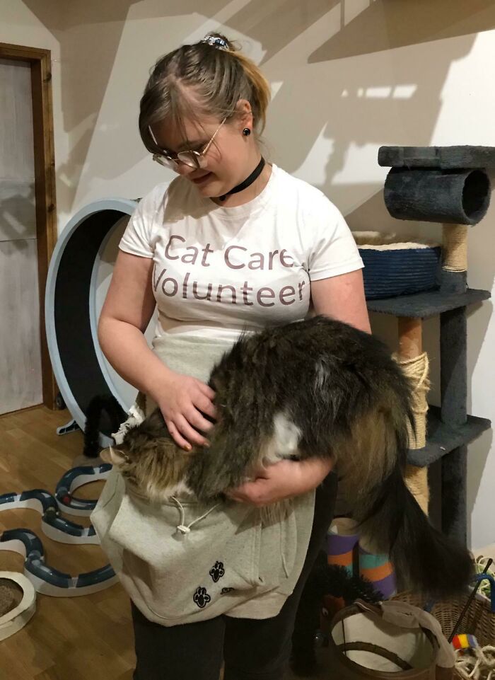 35 Cats Who Don&#8217;t Understand How BIG They Are
