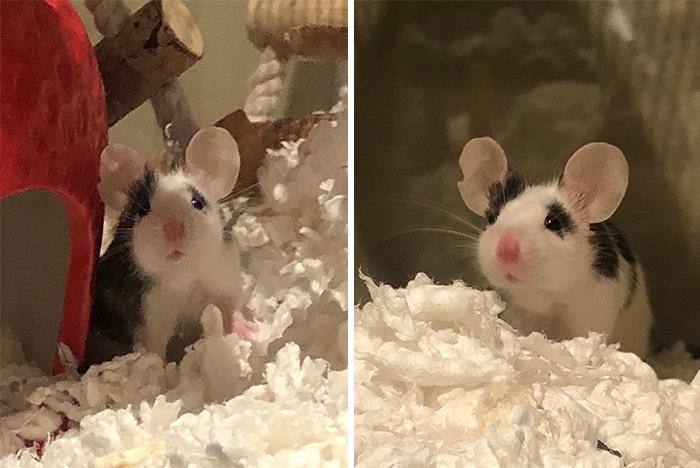 50 Times People Spotted The Cutest Animals And Just Had To Take A Pic Of Them 50 Times People Spotted The Cutest Animals And Just Had To Take A Pic Of Them