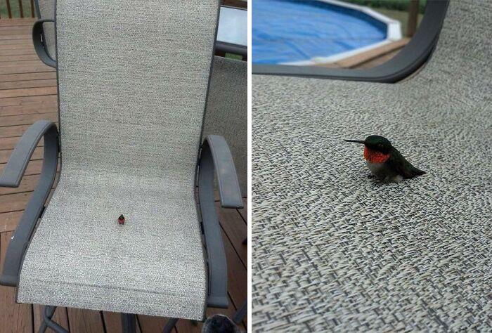 50 Times People Spotted The Cutest Animals And Just Had To Take A Pic Of Them 50 Times People Spotted The Cutest Animals And Just Had To Take A Pic Of Them