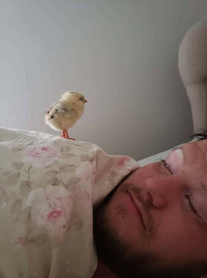 50 Times People Spotted The Cutest Animals And Just Had To Take A Pic Of Them 50 Times People Spotted The Cutest Animals And Just Had To Take A Pic Of Them