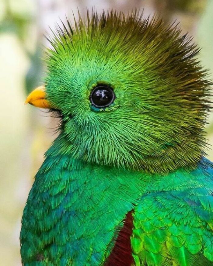 50 Times People Spotted The Cutest Animals And Just Had To Take A Pic Of Them 50 Times People Spotted The Cutest Animals And Just Had To Take A Pic Of Them