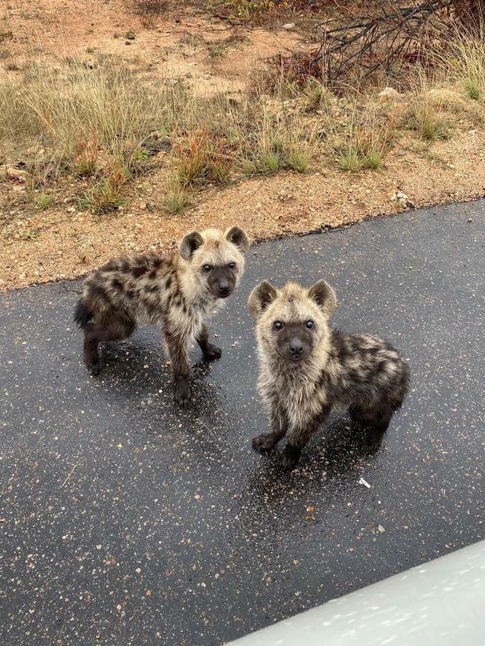 50 Times People Spotted The Cutest Animals And Just Had To Take A Pic Of Them 50 Times People Spotted The Cutest Animals And Just Had To Take A Pic Of Them