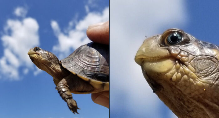 50 Times People Spotted The Cutest Animals And Just Had To Take A Pic Of Them 50 Times People Spotted The Cutest Animals And Just Had To Take A Pic Of Them