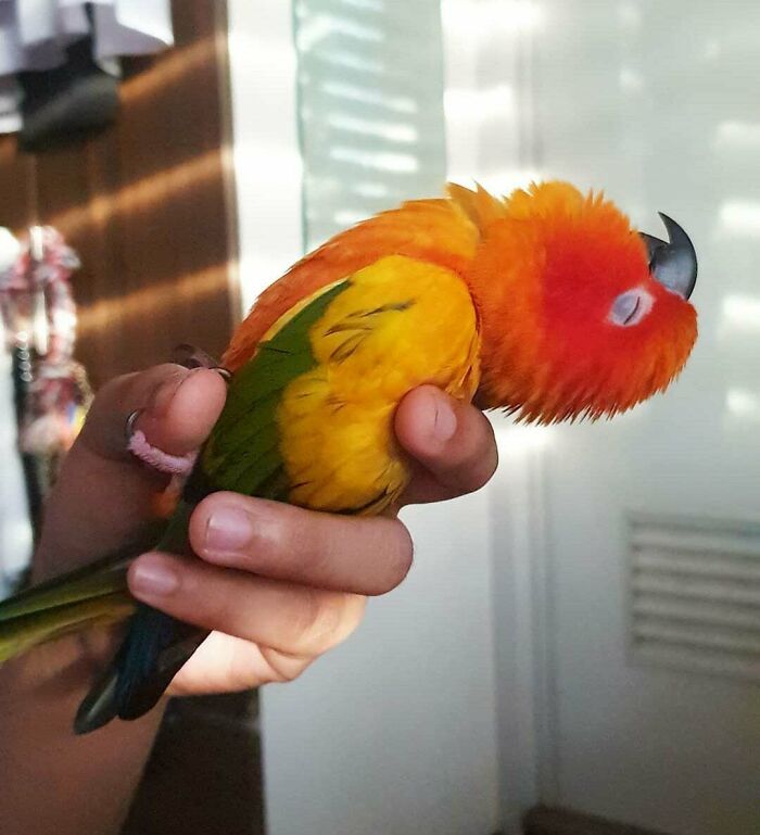 50 Times People Spotted The Cutest Animals And Just Had To Take A Pic Of Them 50 Times People Spotted The Cutest Animals And Just Had To Take A Pic Of Them