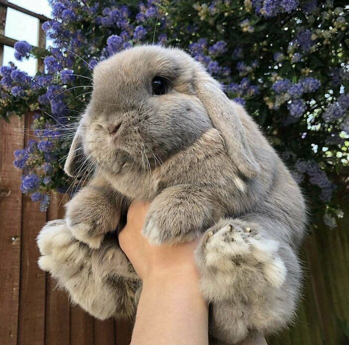 50 Times People Spotted The Cutest Animals And Just Had To Take A Pic Of Them 50 Times People Spotted The Cutest Animals And Just Had To Take A Pic Of Them