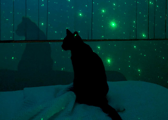 30 People Are Sharing Shockingly Terrifying Things They’ve Witnessed But No One Believed Them