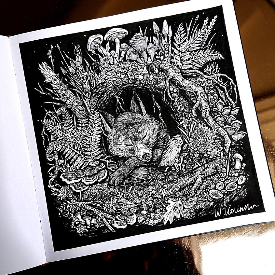 30 Intricate Drawings Of Animals Created By Me