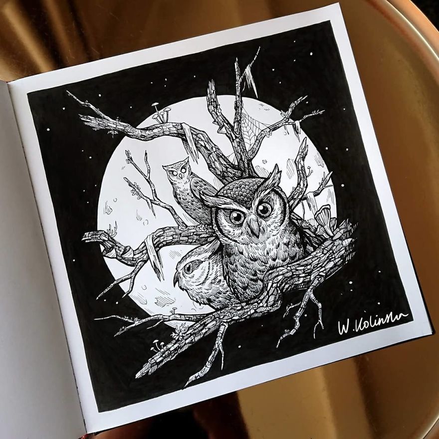 30 Intricate Drawings Of Animals Created By Me