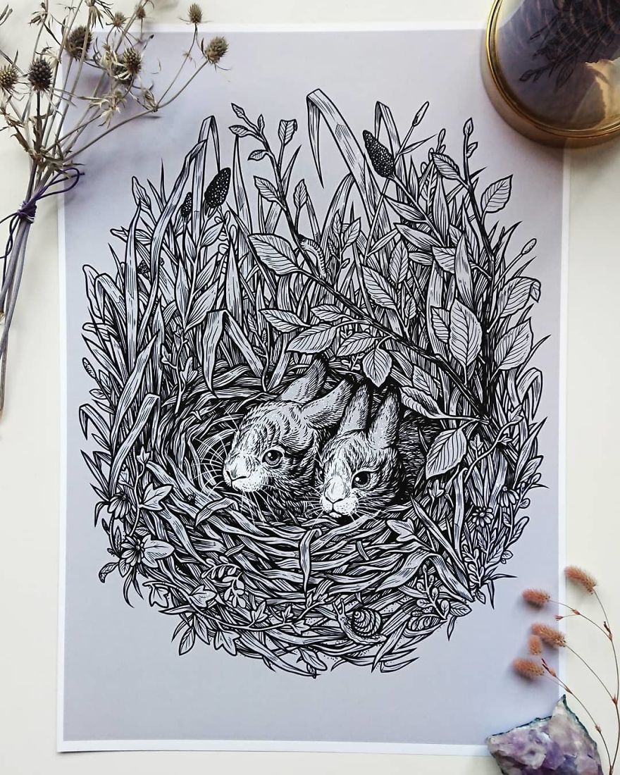 30 Intricate Drawings Of Animals Created By Me