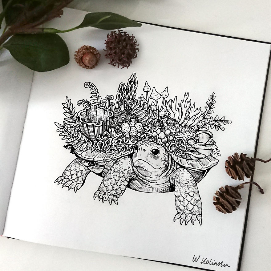 30 Intricate Drawings Of Animals Created By Me