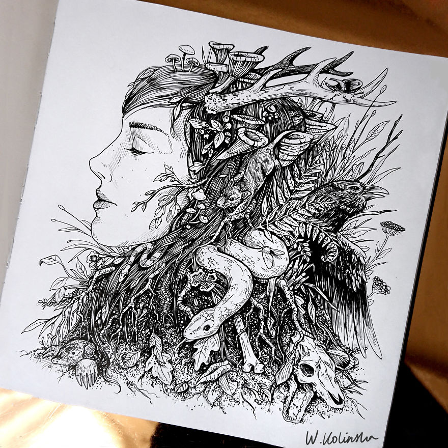 30 Intricate Drawings Of Animals Created By Me