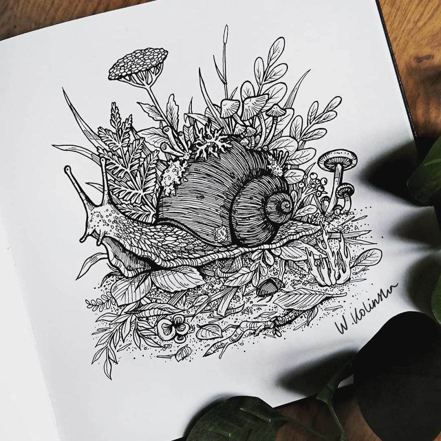 30 Intricate Drawings Of Animals Created By Me