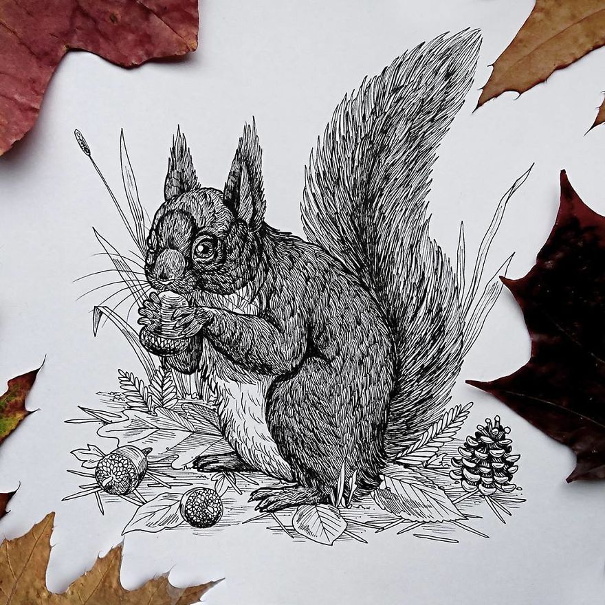 30 Intricate Drawings Of Animals Created By Me