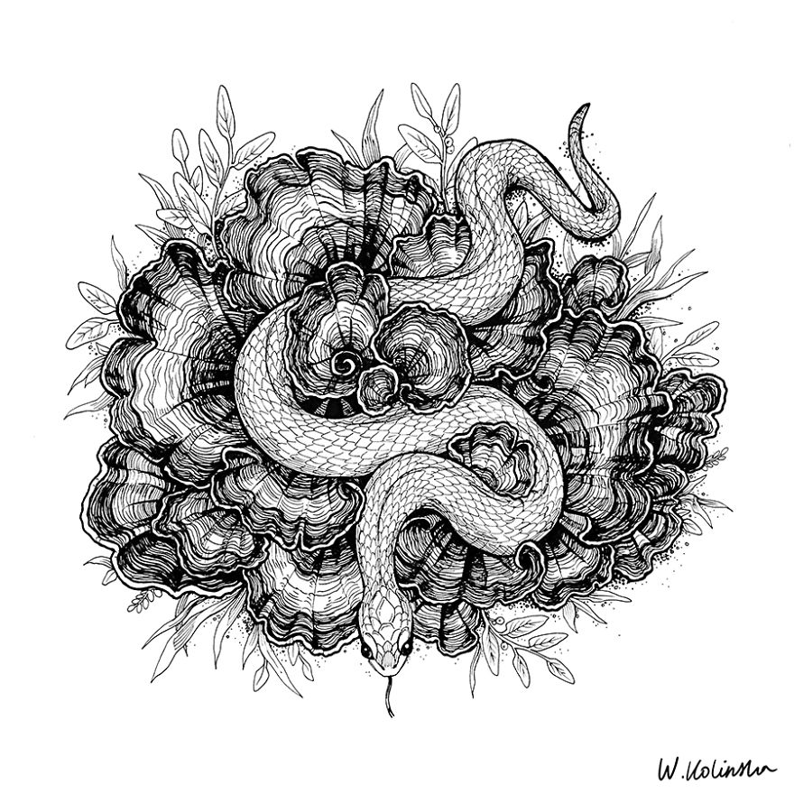 30 Intricate Drawings Of Animals Created By Me