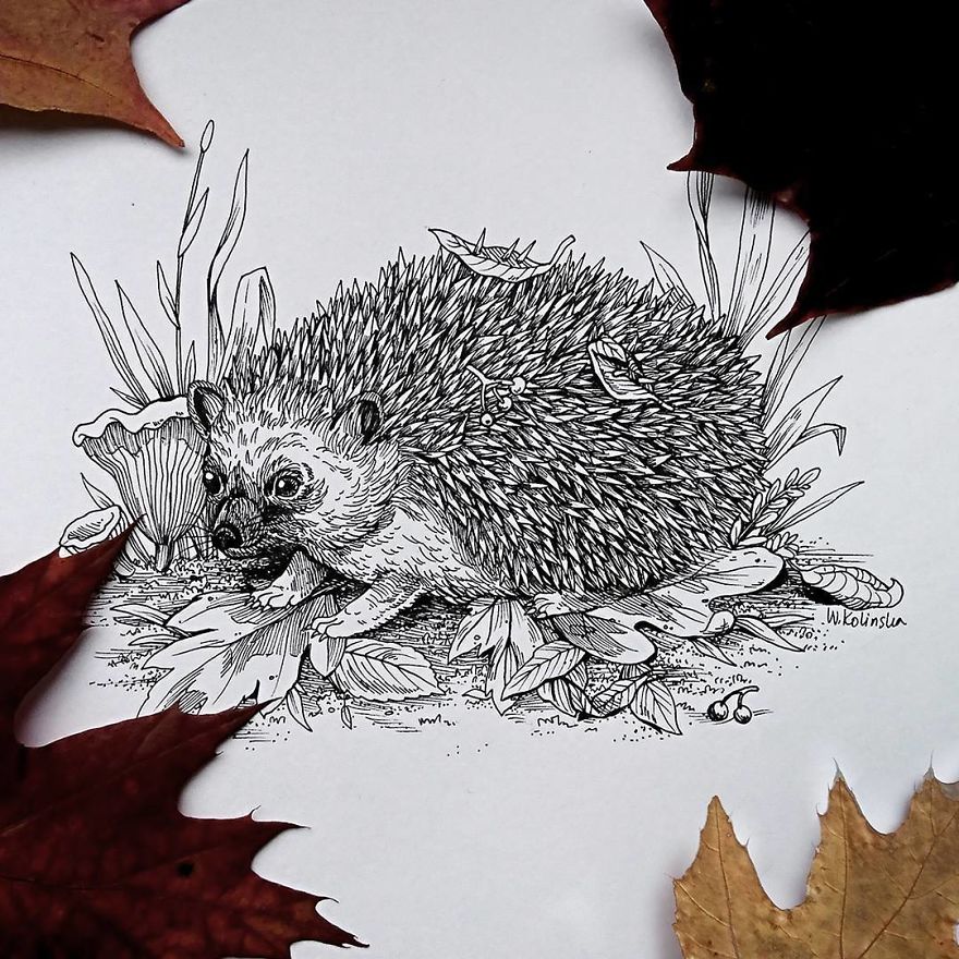 30 Intricate Drawings Of Animals Created By Me