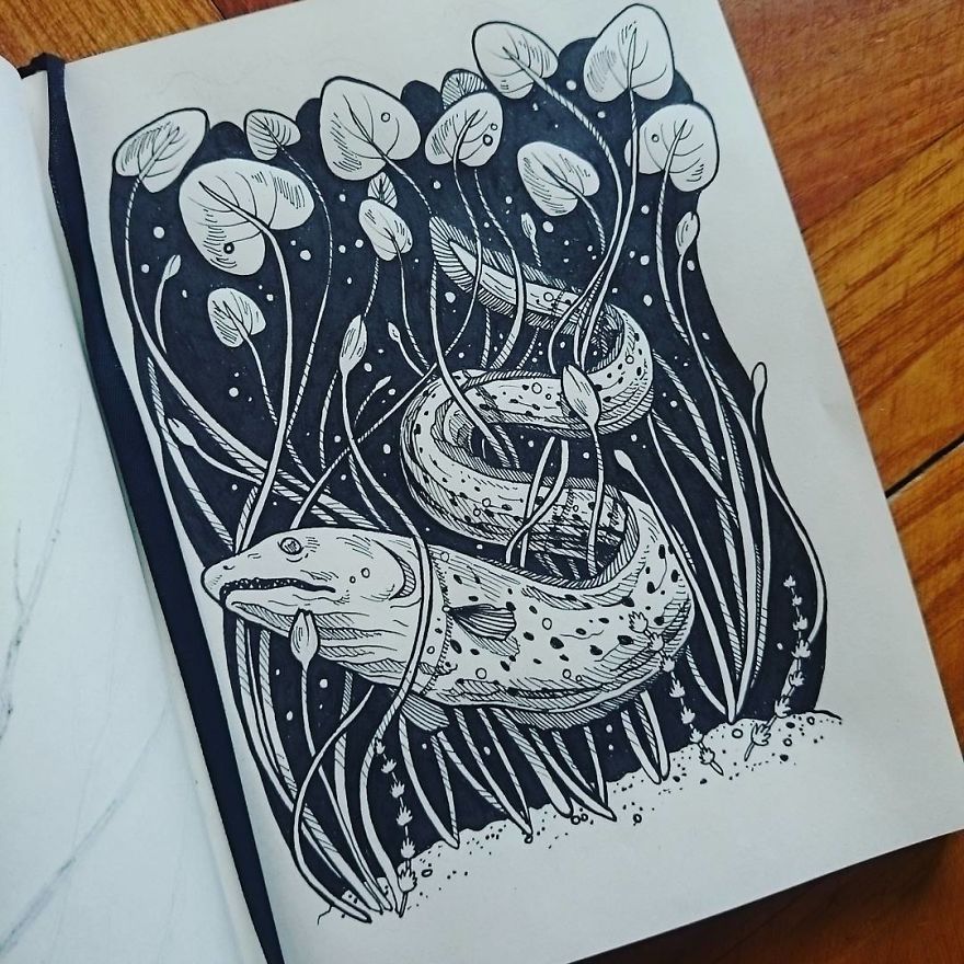 30 Intricate Drawings Of Animals Created By Me